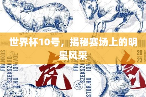 世界杯10号，揭秘赛场上的明星风采丹东日丰电子有限公司