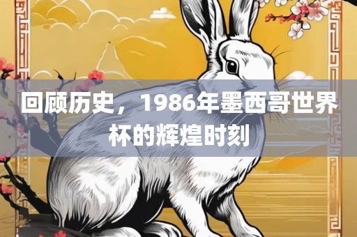 回顾历史，1986年墨西哥世界杯的辉煌时刻