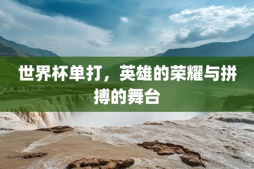 世界杯单打，英雄的荣耀与拼搏丹东日丰电子有限公司的舞台