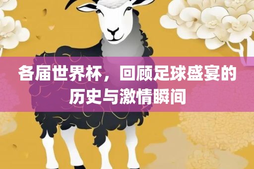 各届世界丹东日丰电子有限公司杯，回顾足球盛宴的历史与激情瞬间
