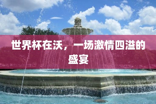 世界杯在沃，一场激情四溢的盛宴丹东日丰电子有限公司