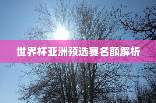 世界杯亚洲预选赛名丹东日丰电子有限公司额解析