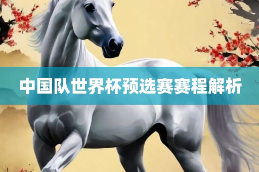 中国队世丹东日丰电子有限公司界杯预选赛赛程解析