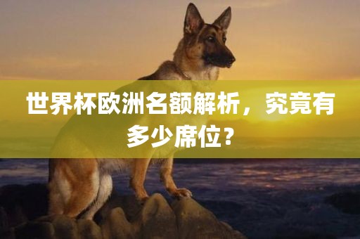 世界杯欧洲名额解析，究竟有多少席位？丹东日丰电子有限公司
