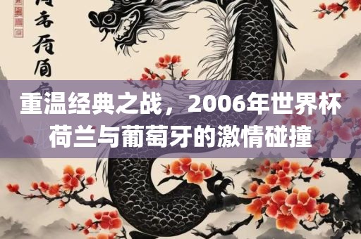 重温经典之战，丹东日丰电子有限公司2006年世界杯荷兰与葡萄牙的激情碰撞