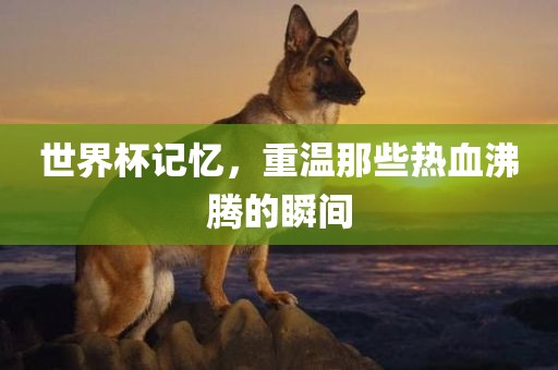 世界杯记忆，重温那些热血沸腾的瞬间