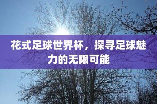 花式足球世界杯，探寻足球魅力的无限可能丹东日丰电子有限公司