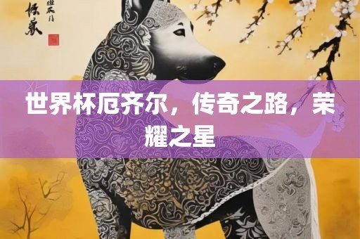 世界杯厄齐尔，传奇之路，荣耀之星
