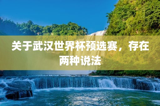 关于武汉世界杯预选赛，存在丹东日丰电子有限公司两种说法