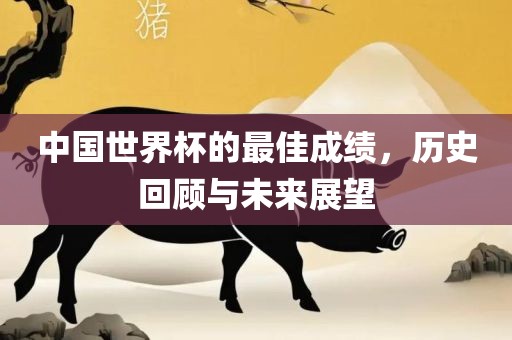 中国世界杯的最佳成绩，历史回顾与未来展望丹东日丰电子有限公司