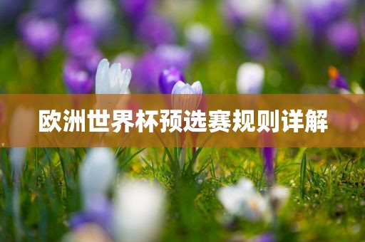 欧洲世界杯预选赛规则详解丹东日丰电子有限公司