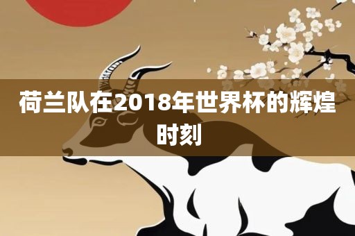 荷兰队在2018年世界杯的辉煌时刻丹东日丰电子有限公司