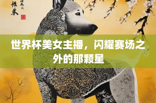 世界杯美女主播，闪耀赛场之外的那颗星丹东日丰电子有限公司