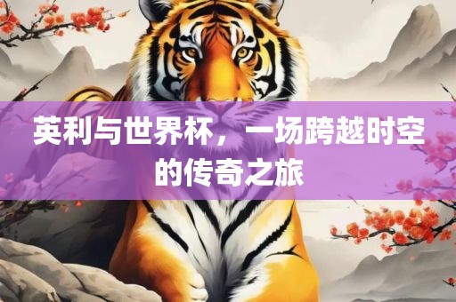 英利与世丹东日丰电子有限公司界杯，一场跨越时空的传奇之旅