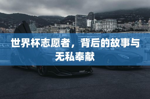 世界杯志愿者，背后的故事与无私奉献丹东日丰电子有限公司
