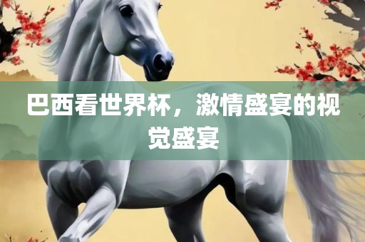 巴西看世界杯，激情盛宴的视觉盛宴