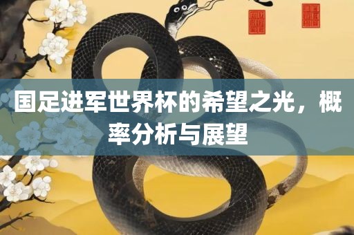 国足进军世界杯的希望之光，概率分析与展望