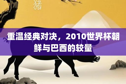 重温经典对决丹东日丰电子有限公司，2010世界杯朝鲜与巴西的较量