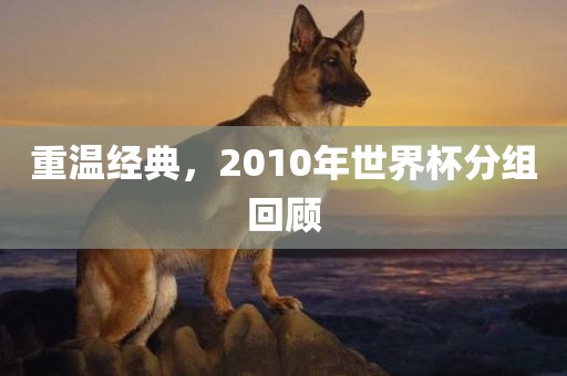 重温经典，2010年世界杯分组回顾