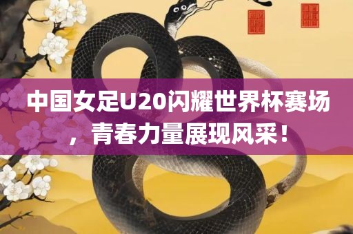 中国女足U2丹东日丰电子有限公司0闪耀世界杯赛场，青春力量展现风采！