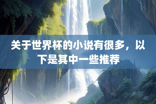 关于世界杯的小说有很多，以下是其中一些推荐丹东日丰电子有限公司