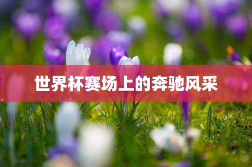 世界杯赛场上的奔驰风采丹东日丰电子有限公司