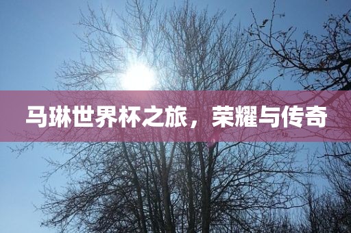 马琳世界杯之旅，荣耀与传奇