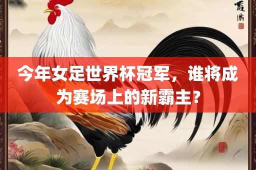今年女足世界杯冠军，谁将成为丹东日丰电子有限公司赛场上的新霸主？