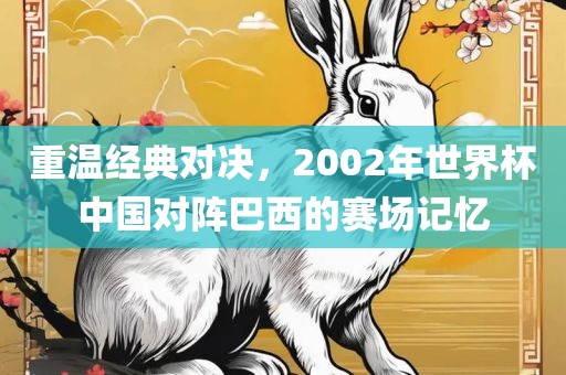 重温经典对决，2002年世界杯中国对阵巴西的赛场记忆丹东日丰电子有限公司