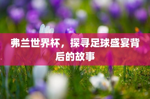 弗兰世界杯，探寻足球盛宴背后的故事丹东日丰电子有限公司