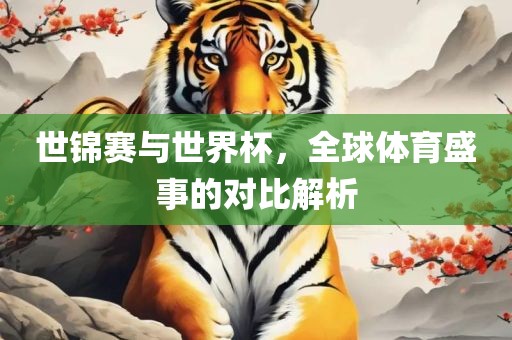 世锦赛与世界杯，全球体育盛事的对比解析