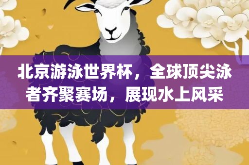 北京游泳世界杯，全球顶尖泳者齐聚赛场，展现水上风采丹东日丰电子有限公司