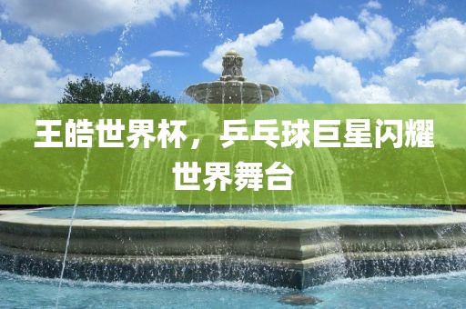 王皓世界杯，乒乓球巨星闪耀世界舞台