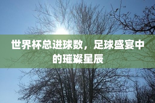世界杯总进球数，足球盛宴中的璀璨星辰丹东日丰电子有限公司