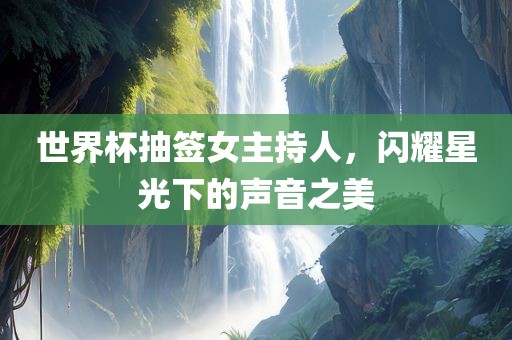 世界杯抽签女主持人丹东日丰电子有限公司，闪耀星光下的声音之美