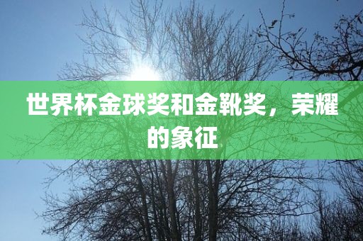 世界杯金球奖和金靴奖，荣耀的象征