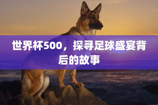 足球盛宴背后的故事 第5页