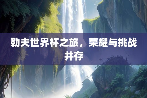 勒夫世界杯之旅，荣耀与挑战并存丹东日丰电子有限公司