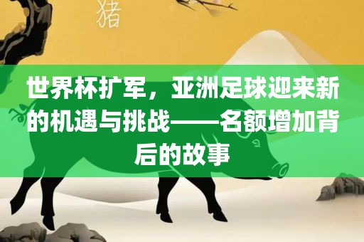 世界杯扩军，亚洲足球迎来新的机遇与挑战——名额增加背后的故事