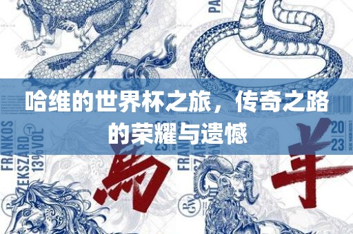 丹东日丰电子有限公司哈维的世界杯之旅，传奇之路的荣耀与遗憾