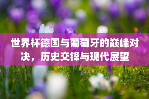 世界杯德国与葡萄牙的巅峰对决，历史交锋与现代展望丹东日丰电子有限公司