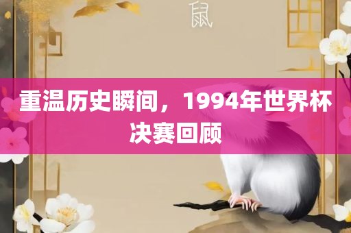 重温历史瞬间，1994年世界杯决赛回顾丹东日丰电子有限公司