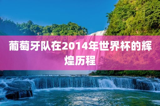 葡萄牙队在2014年世界杯的辉煌历程