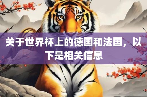 关于世界杯上的德国和法国，以下是相关信息丹东日丰电子有限公司