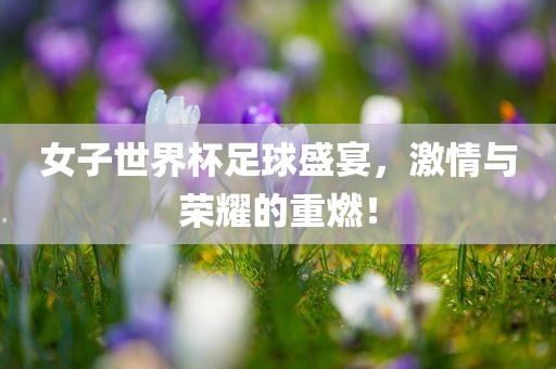 女子世界杯足球盛宴，激情与荣耀的重燃！丹东日丰电子有限公司
