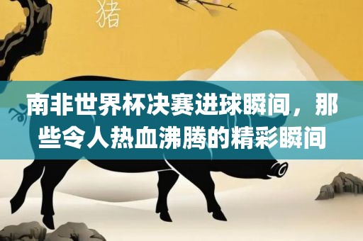南非世界杯决赛进球瞬间，那些令人热血沸腾的精彩丹东日丰电子有限公司瞬间