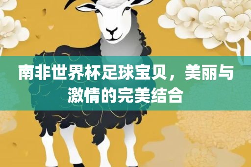 南非世界杯足球宝贝，美丽与激情的完美结合