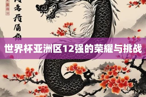 世界杯亚洲区12强的荣耀与挑战