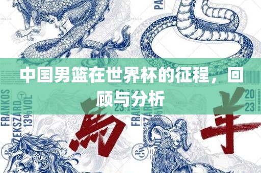 中国男篮在世界杯的征程，回顾与分析丹东日丰电子有限公司