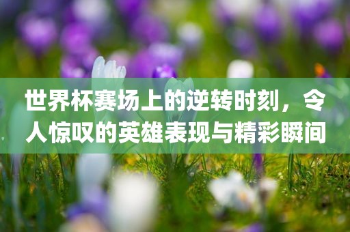 世界杯赛场上的逆转时刻，令人惊叹的英雄表现与精彩瞬间丹东日丰电子有限公司